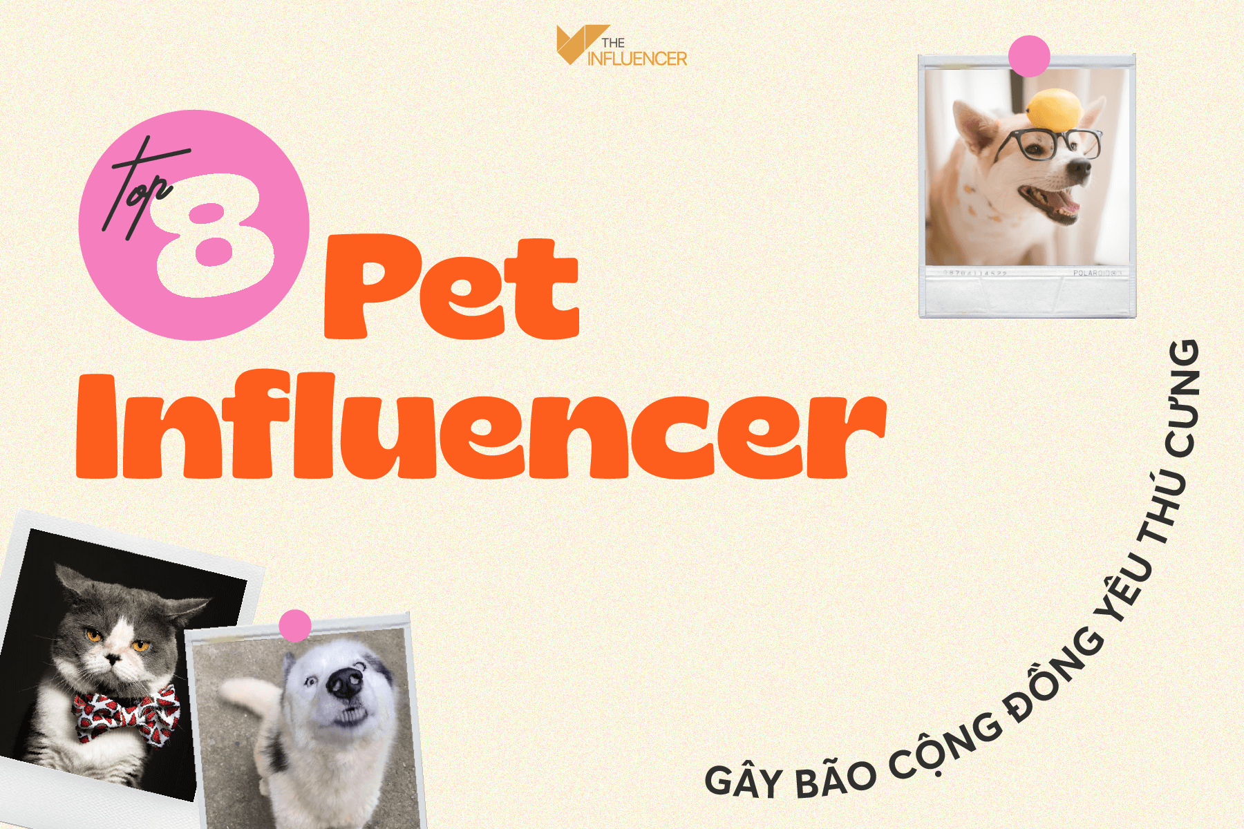 Top 8 Pet Influencer gây bão cộng đồng yêu thú cưng