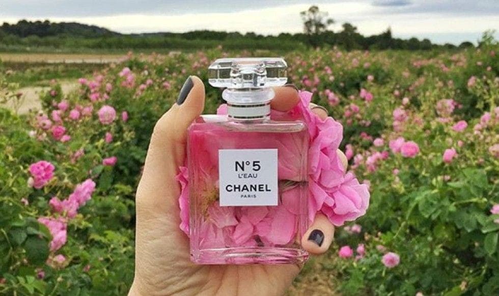 #Casestudy Chanel thắng lớn trên mặt trận truyền thông bằng Instagram như thế nào?