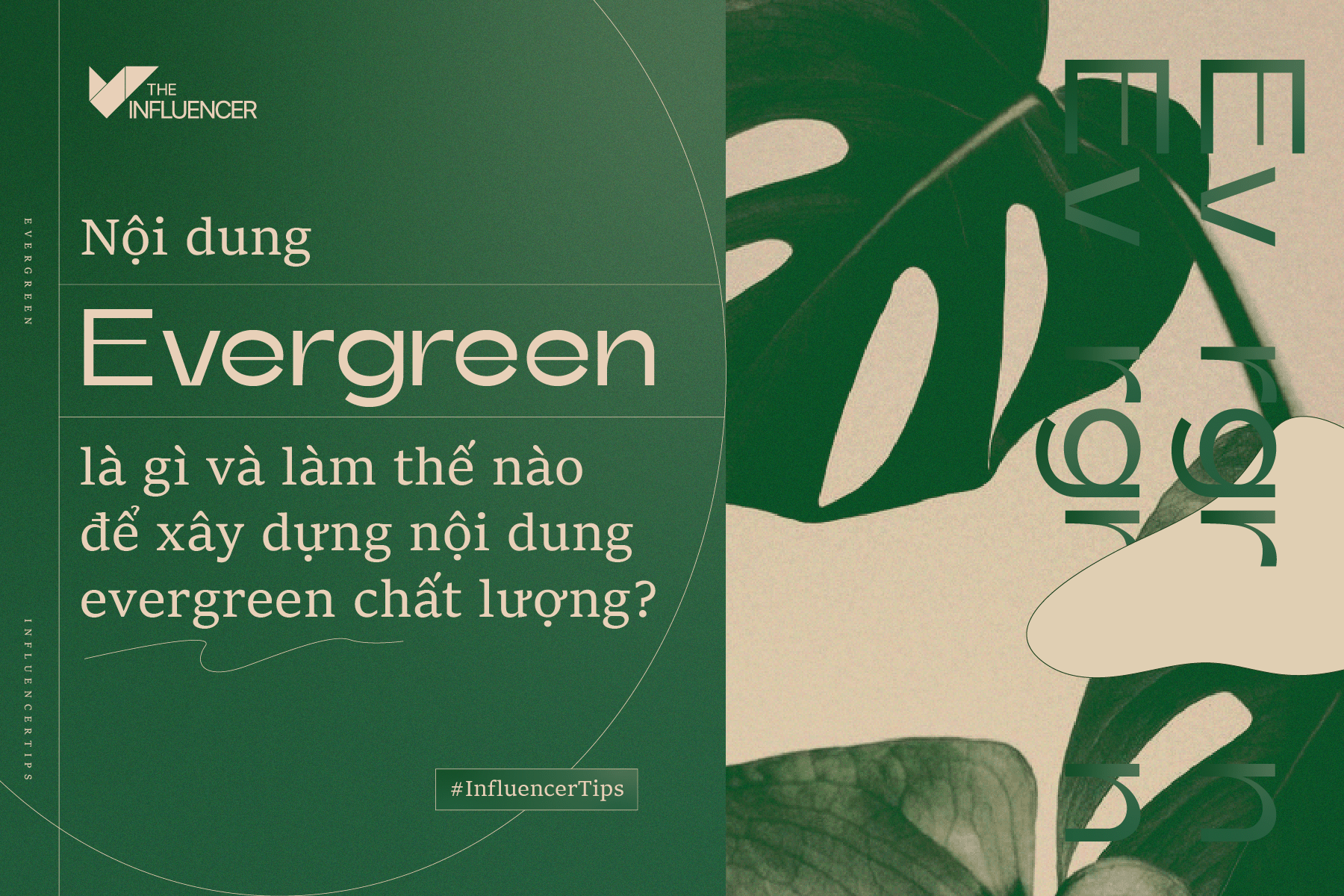 #InfluencerTips: Nội dung evergreen là gì và làm thế nào để xây dựng nội dung evergreen chất lượng?